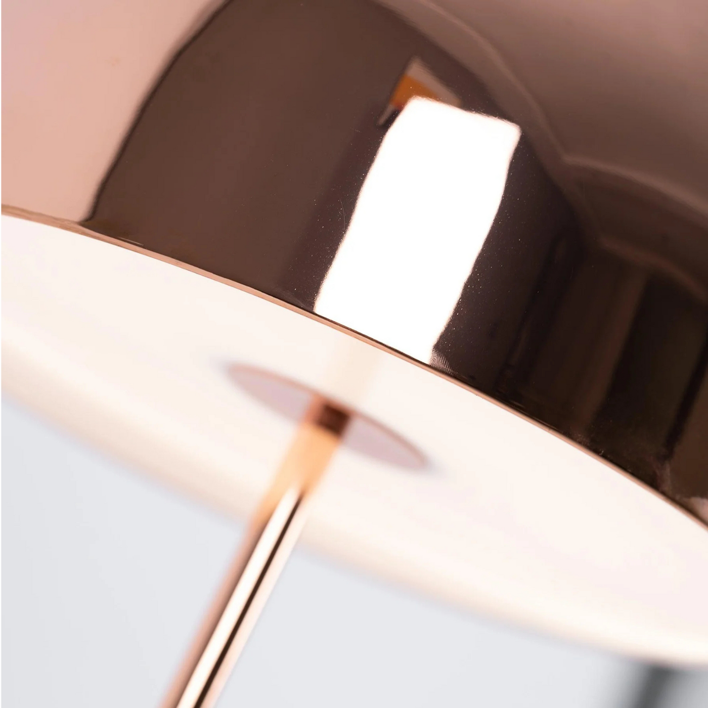Die Gewölbte – Eleganz in Licht und Form
