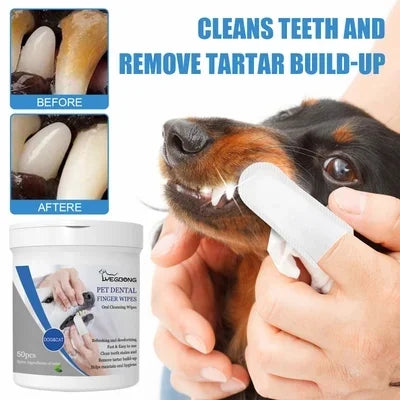 PetDentalCare  Immer frischer Atem für Haustiere
