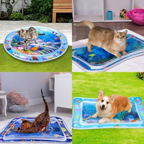 AquaPlay - Die perfekte Wassermatte für Haustiere