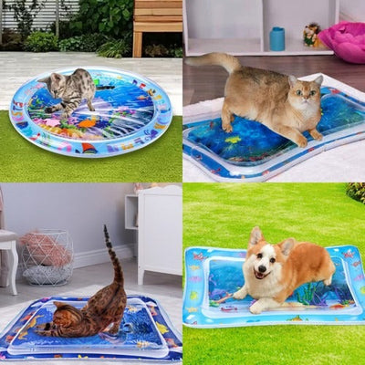 AquaPlay - Die perfekte Wassermatte für Haustiere