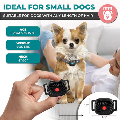 PETCALM Mini – Antibellhalsband für kleine Hunde mit Ton & Vibration