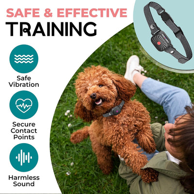 PETCALM Mini – Antibellhalsband für kleine Hunde mit Ton & Vibration