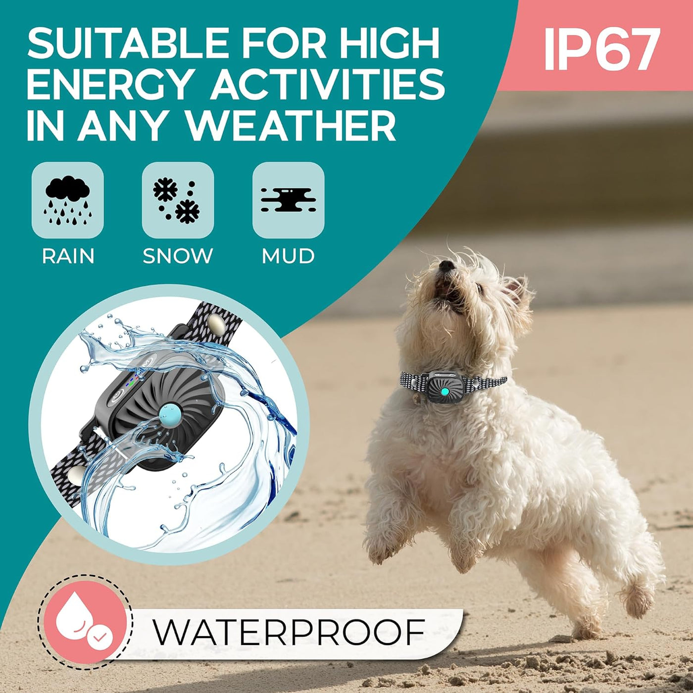 PETCALM Mini – Antibellhalsband für kleine Hunde mit Ton & Vibration