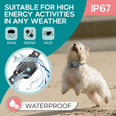 PETCALM Mini – Antibellhalsband für kleine Hunde mit Ton & Vibration