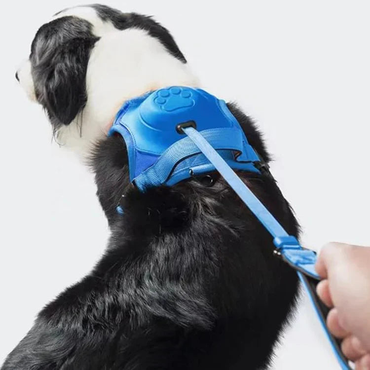 PawLink | Langlebige & Komfortable Hundeleine