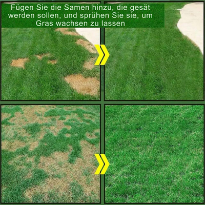 Verwandeln Sie Ihren Garten in Üppiges Grün