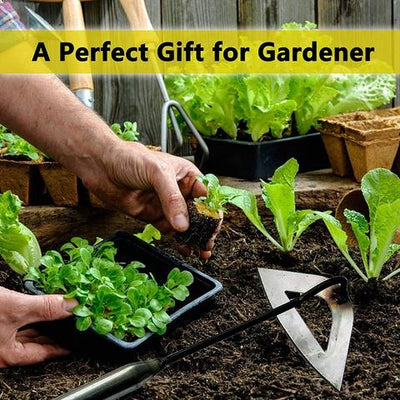 Nylon Kabelbinder – Wiederverwendbar und Selbstklebend für Gartenpflege