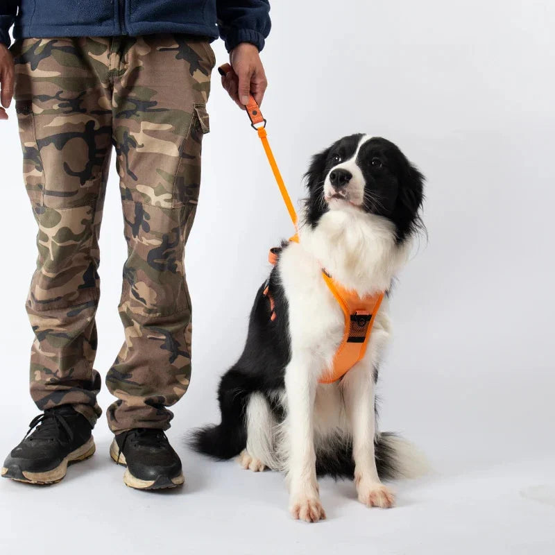 PawLink | Langlebige & Komfortable Hundeleine
