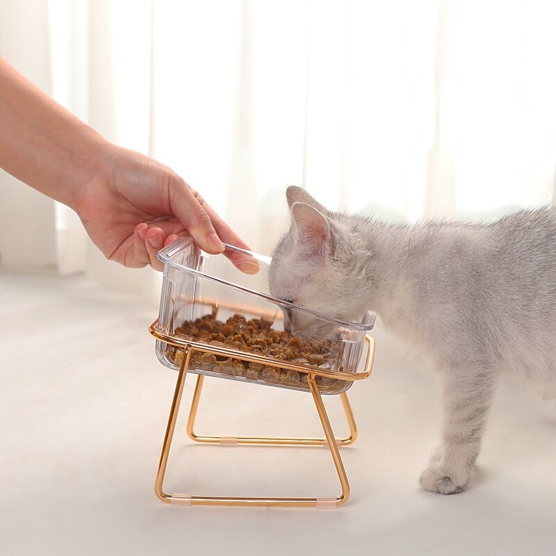 PETCHIC – Erhöhter Futternapf für gesunde Fresshaltung bei Katzen & kleinen Hunden