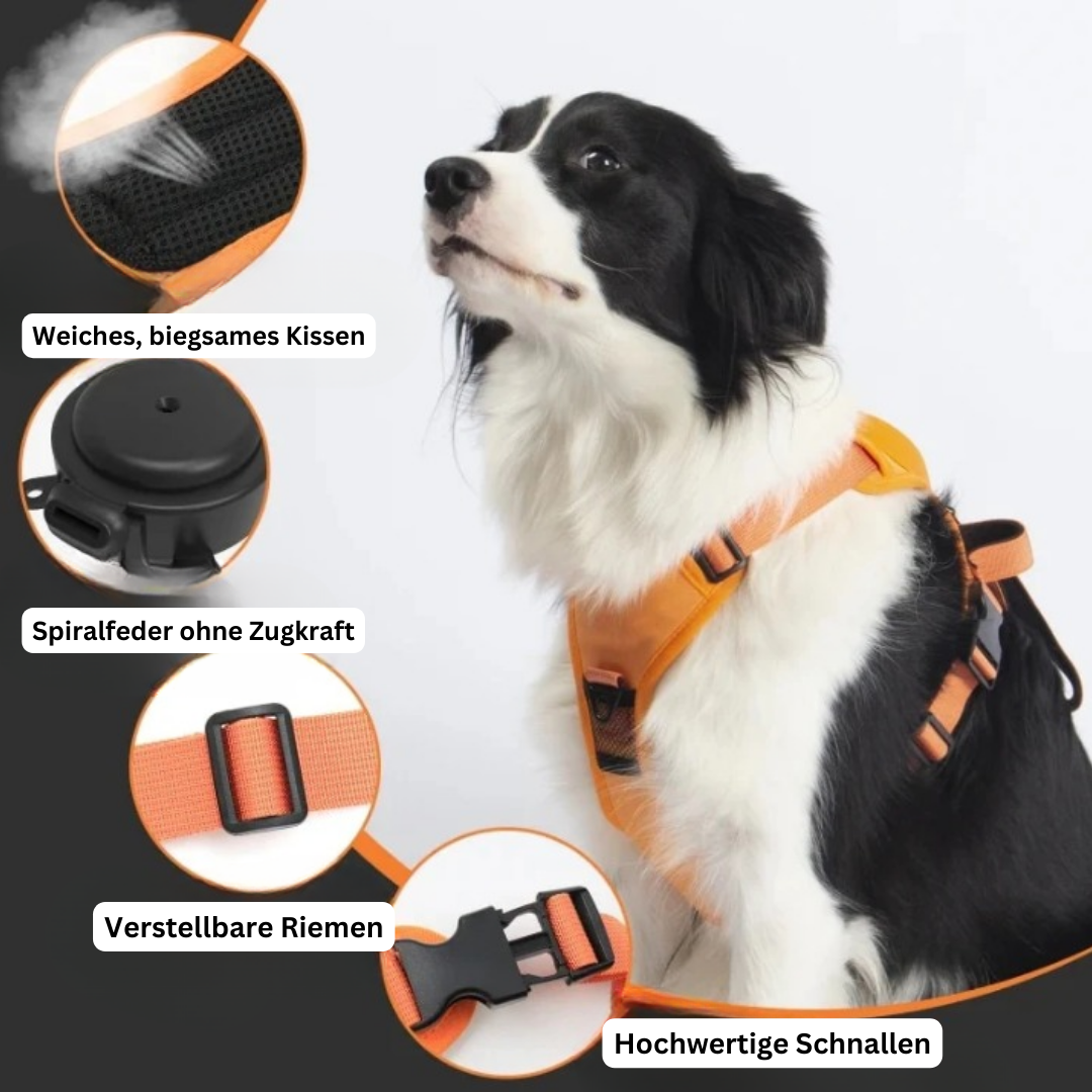 PawLink | Langlebige & Komfortable Hundeleine