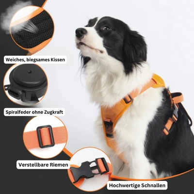 PawLink | Langlebige & Komfortable Hundeleine