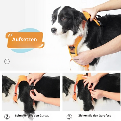 PawLink | Langlebige & Komfortable Hundeleine